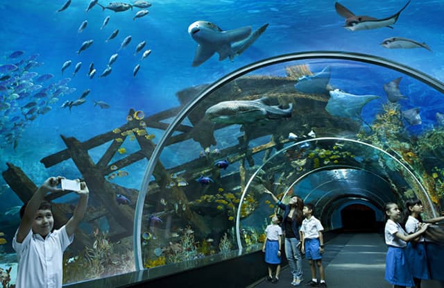 Океанариум «Ailand» — фото 3