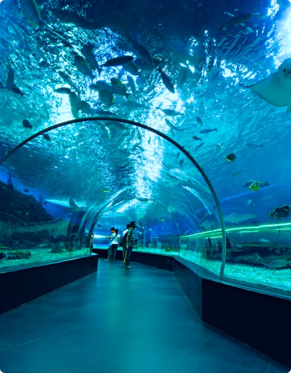 Океанариум «Ailand» — фото 13