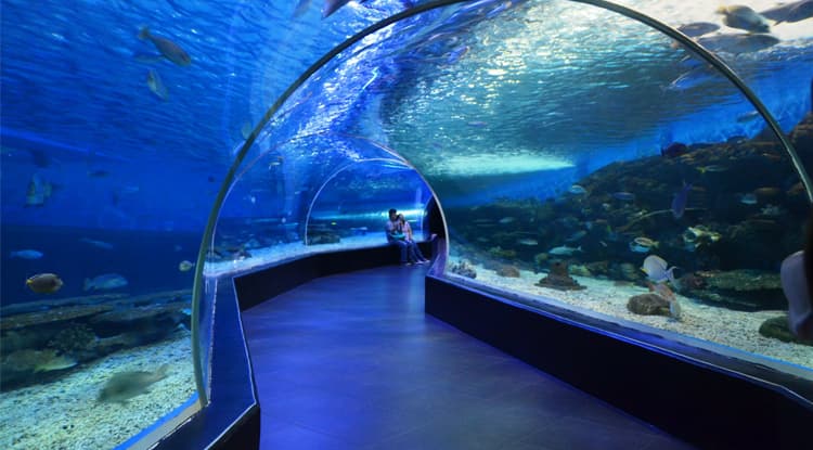 Океанариум «Ailand» — фото 7