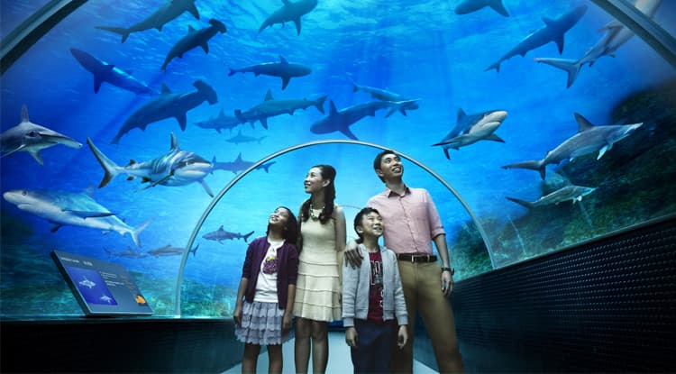 Океанариум «Ailand» — фото 8