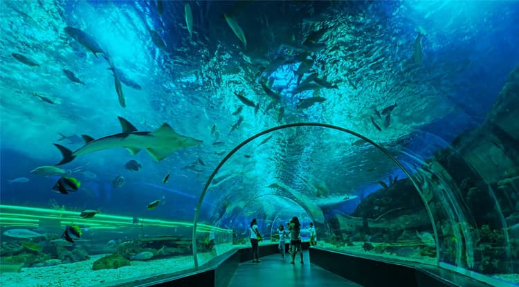 Океанариум «Ailand» — фото 9