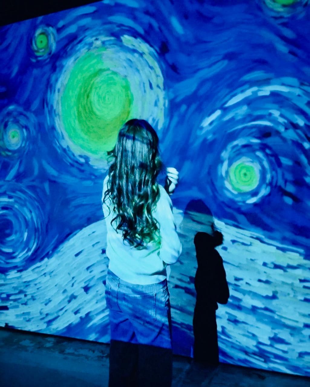 Мультимедийный музей «Lumiere-Hall». Выставка «Ван Гог. Ожившие полотна» — фото 14