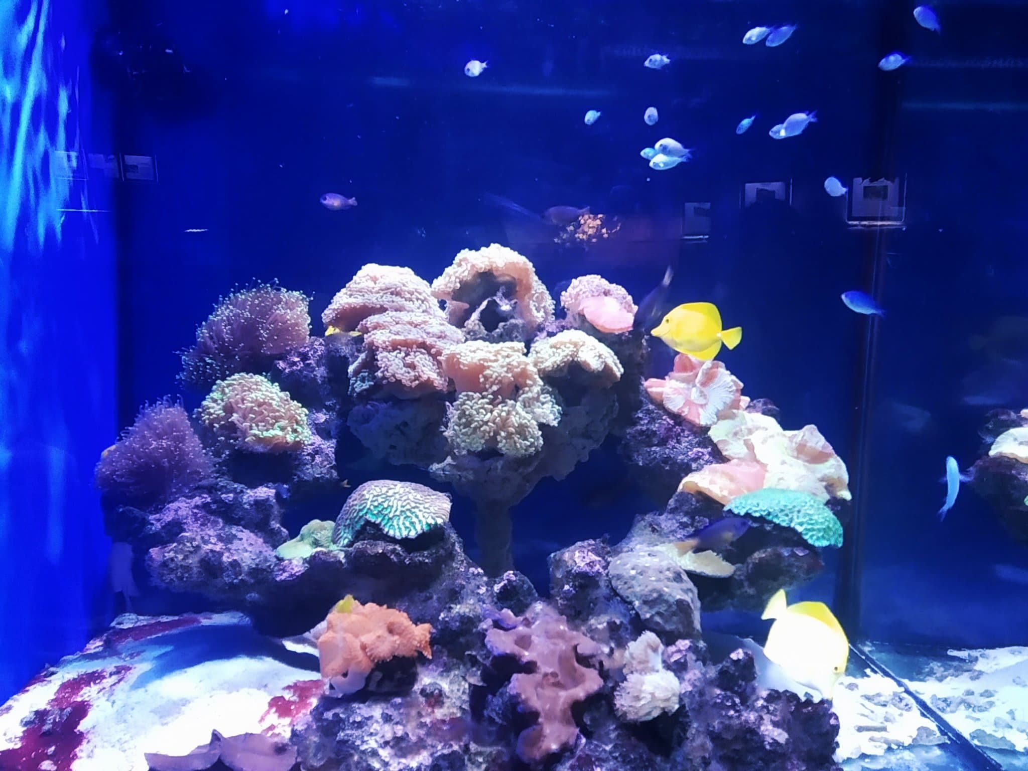 Океанариум «Ailand» — фото 12