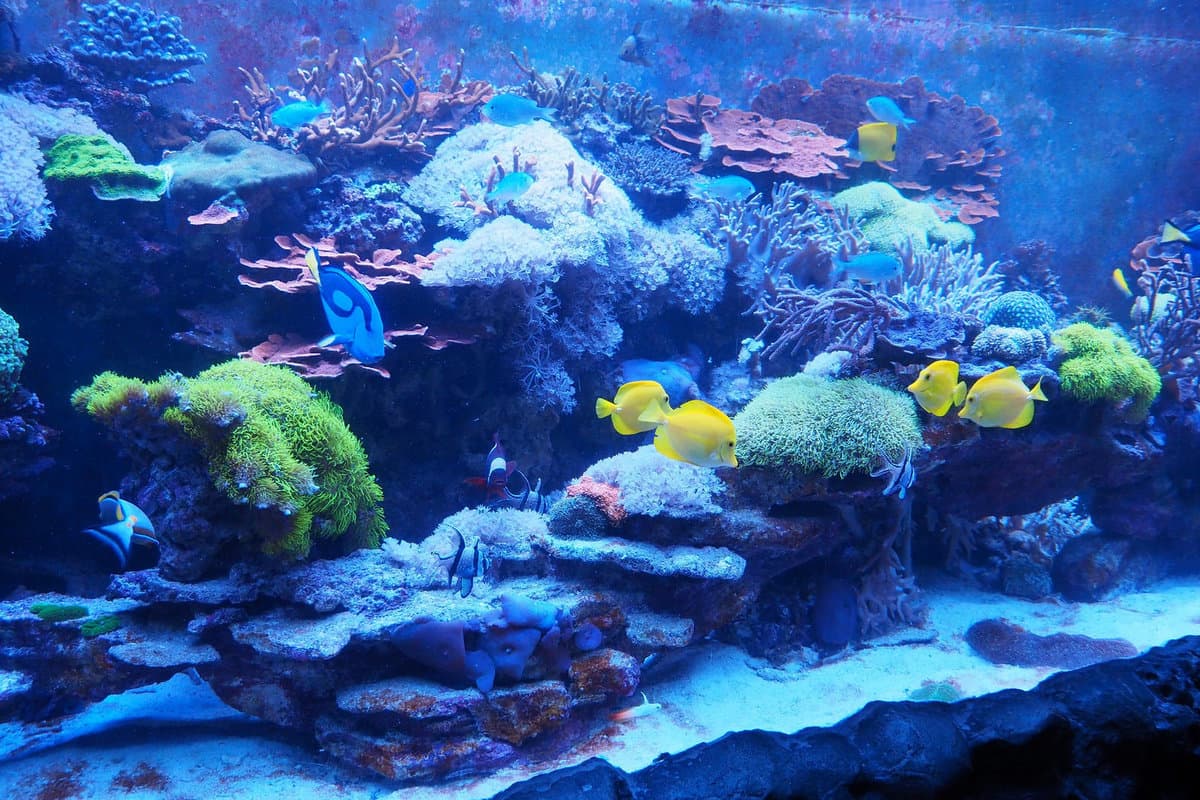 Океанариум «Ailand» — фото 6